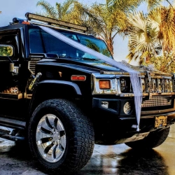 My Limousine 4