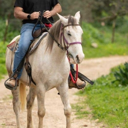 Zahala farm 