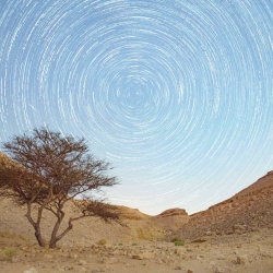 Yuval Stars