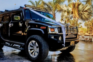 My Limousine 4