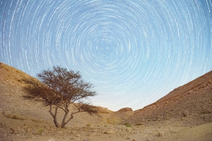 Yuval Stars