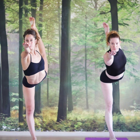 Bikram Yoga 7