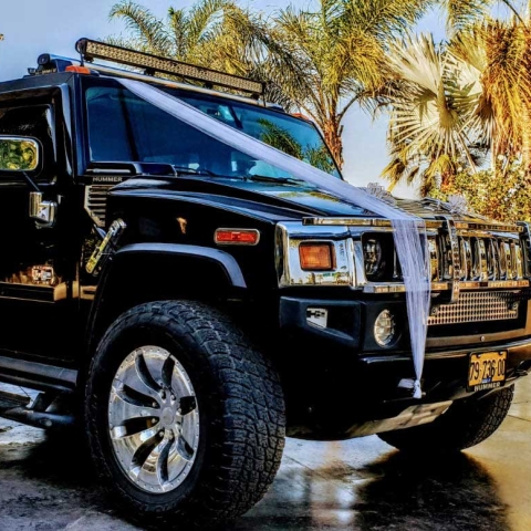 My Limousine 4