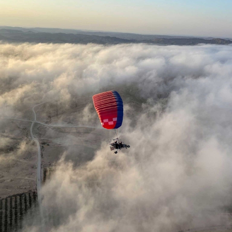 Fly with Segev